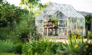 Unleashing the Potential of Underground Gardening