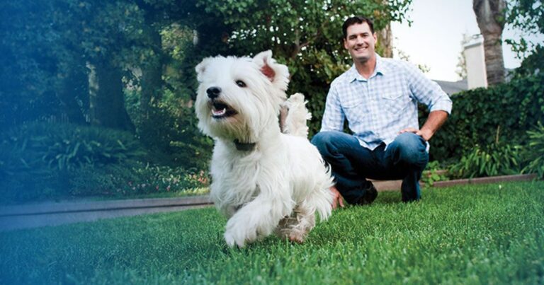 Wireless Pet Fences The Convenient and Effective Solution for Pet Safety