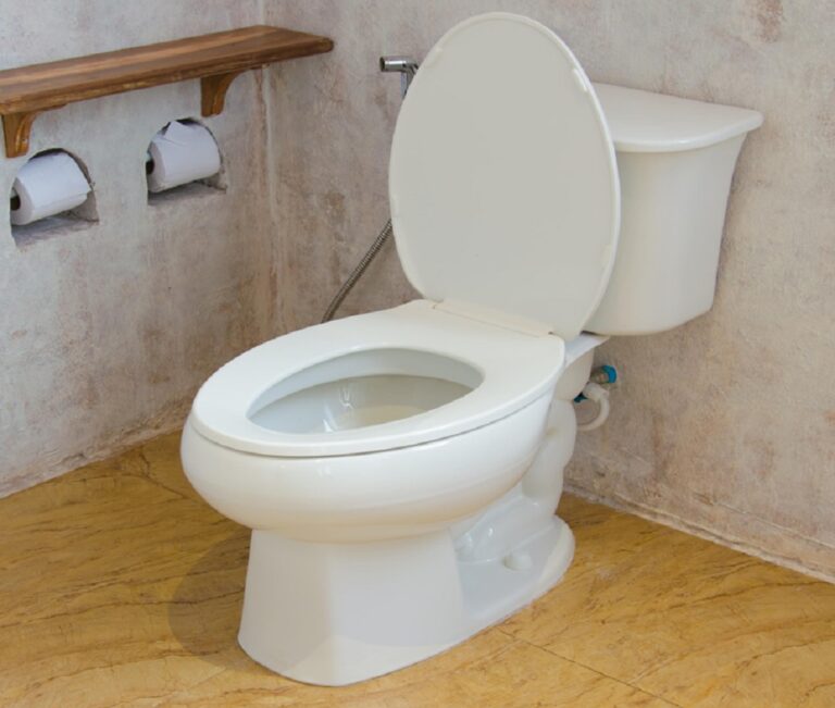 toilet flush system