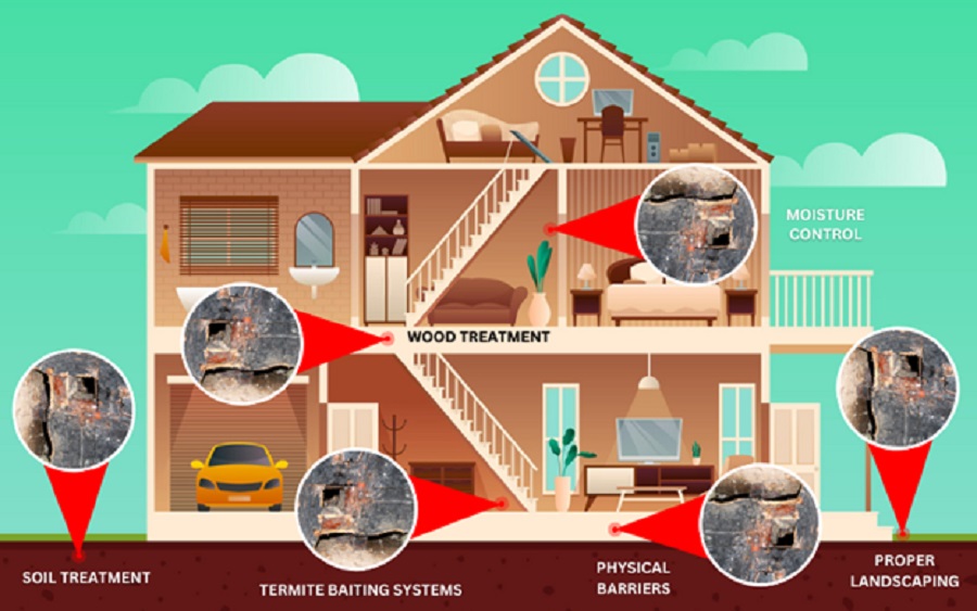 termite control