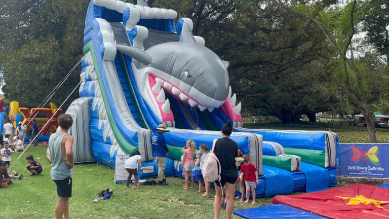 the-great-white-shark-dry-slide