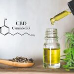 Unveiling the Power of Full-Spectrum CBD: How to Choose the Best CBD Oil for Enhanced Wellness in Canada