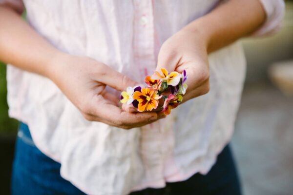 Edible Flowers