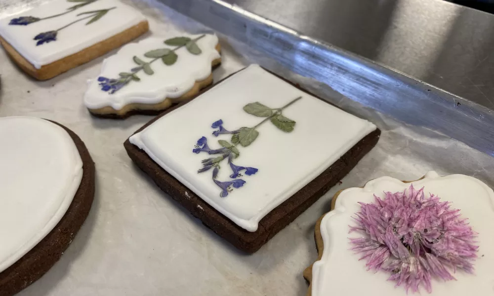 Edible Flowers